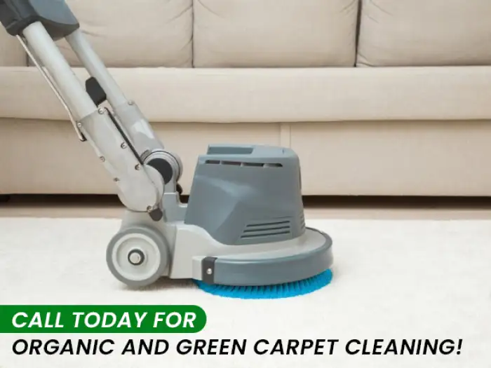 Carpet Cleaning