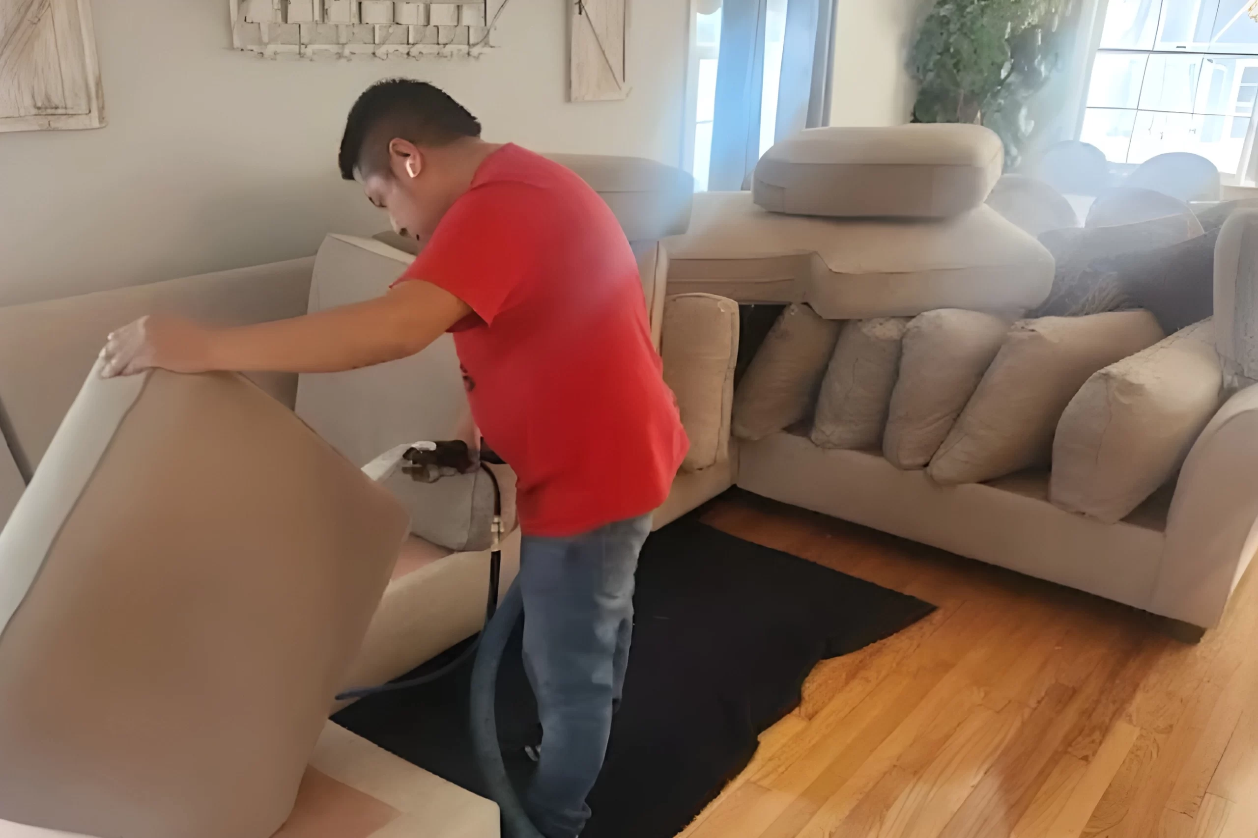 pet odor removal in manhattan ny