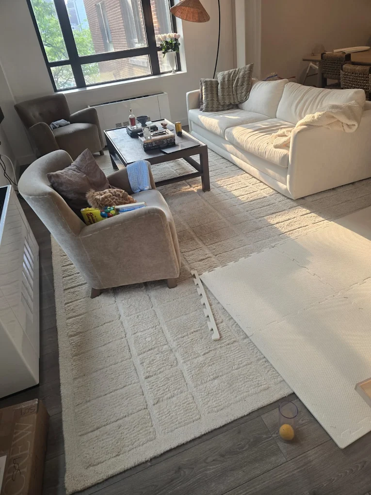 Light cream area rug in a sunny Manhattan apartment living room near the window and heating unit