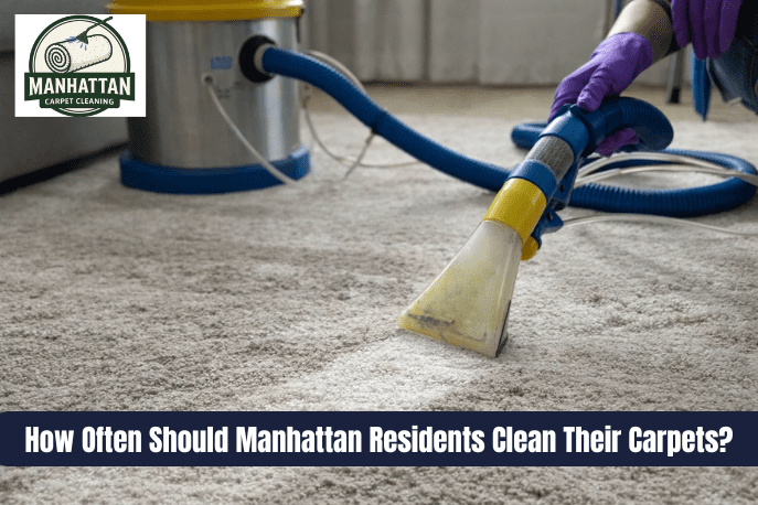 How Often Should Manhattan Residents Clean Their Carpets 1 1