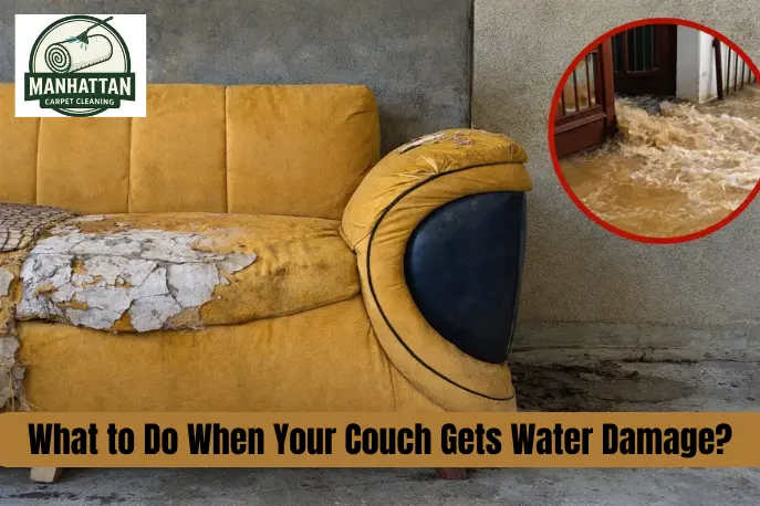What to Do When Your Couch Gets Water Damage in Manhattan