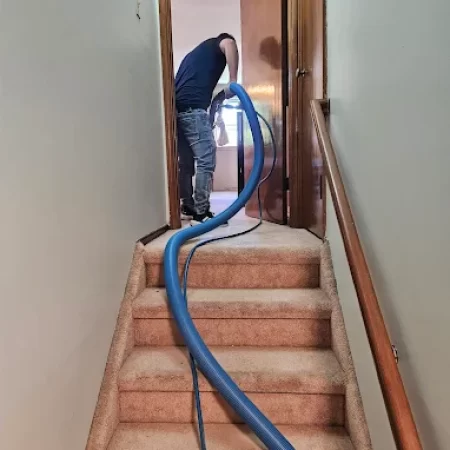 carpet cleaning in manhattan ny