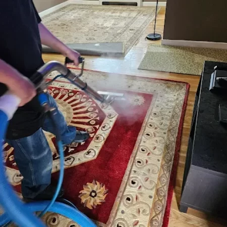 carpet cleaning in manhattan ny